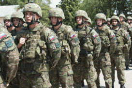 Армии Словакии не хватает денег