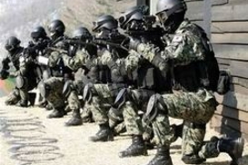 Китаец создал фиктивный "спецназ" армии США