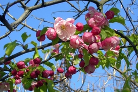 На Пасху обещают солнечную погоду