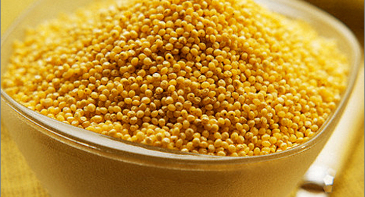 Пшено повторит судьбу гречки?!