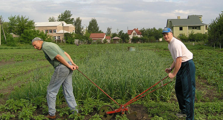 Азаров украинцам: «брать лопату и кормить свою семью»