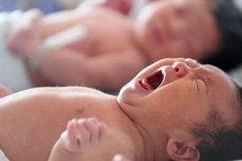 Янукович одобрил повышение размера помощи при рождении ребенка