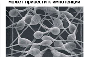 Пачки сигарет украсят страшные картинки