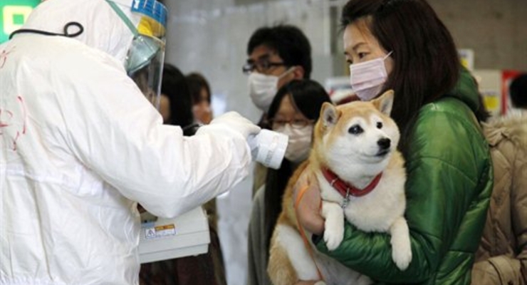 Содержание радиации в районе АЭС Фукусима-1 растет