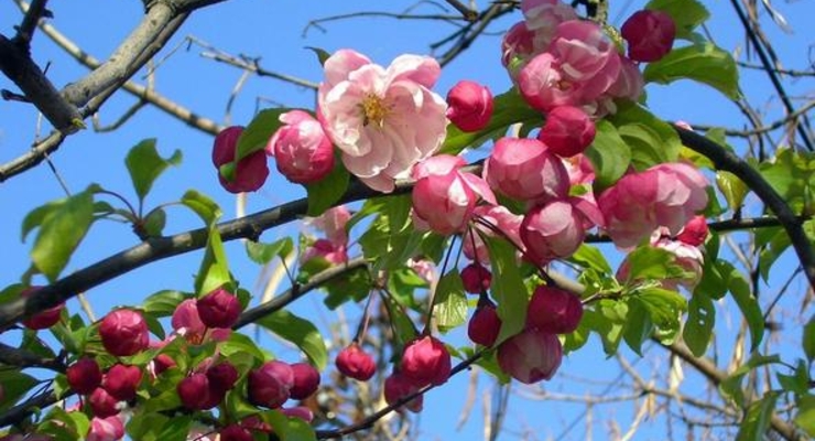 Тепло Украине пока не обещают