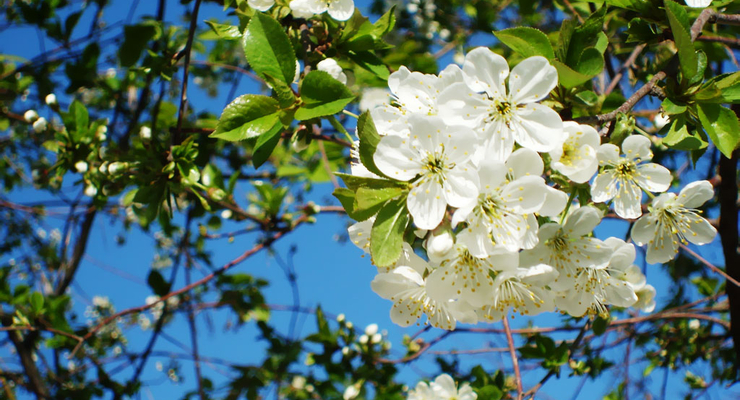 На выходных ожидается теплая погода