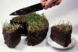 Азаров пообещал публичную подготовку земельного закона