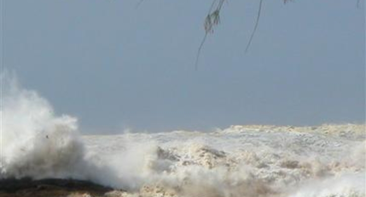 Цунами достигло западного побережья США