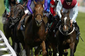 Британец заработал на скачках 1,5 млн фунтов