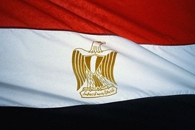 В Египте готовятся к конституционному референдуму