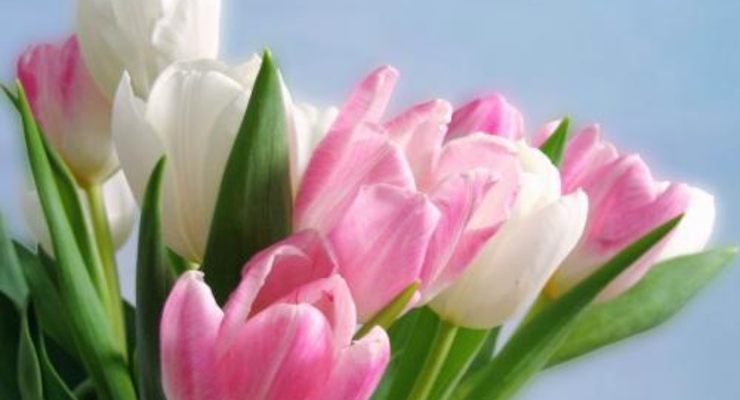 Что на 8 марта дарят депутаты?!