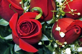 Каких подарков на 8 марта ожидают украинские женщины? (опрос)