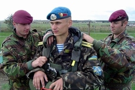 Украинскую армию будут сокращать