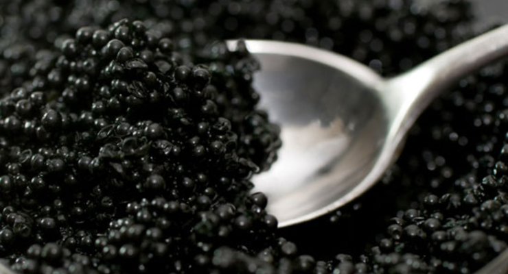 С 1 марта в мире запрещен экспорт черной икры