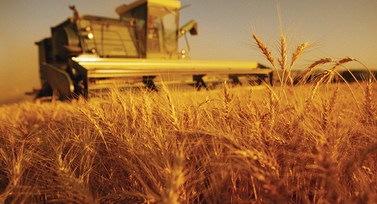 США пугают Украину экономической изоляцией