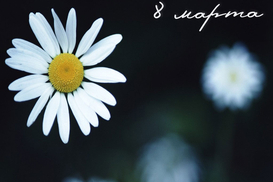 Украинцам придется отработать выходной день 8 марта