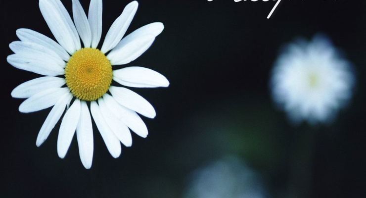 Украинцам придется отработать выходной день 8 марта