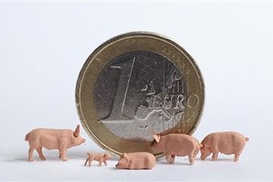 Евро взмыл вверх, доллар падает - официальные курсы валют на 24 февраля