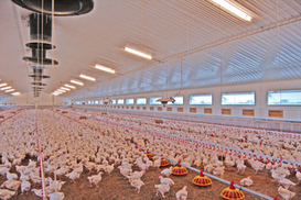 Украинский бизнесмен покупает американскую компанию