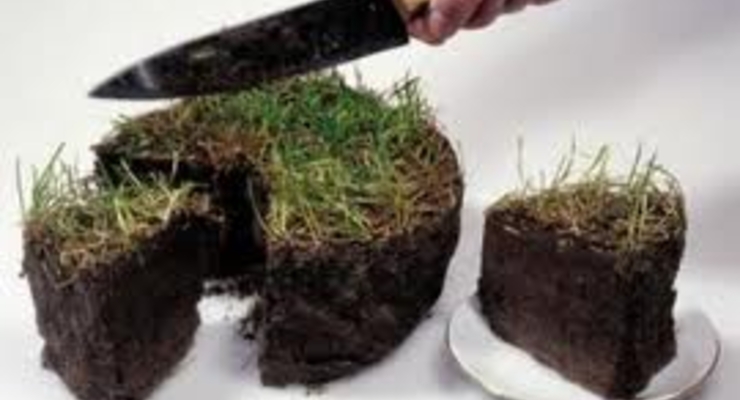 Выгодные условия для приобретения земель с\х назначения, созданные для арендаторов, могут иметь отрицательные последствия