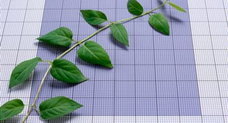 Фондовый рынок взлетел вверх