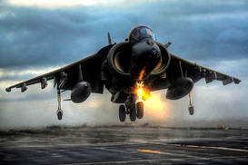 Британский ребенок чуть не купил истребитель