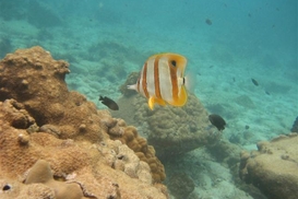 Где кроме Египта можно сейчас отдохнуть?