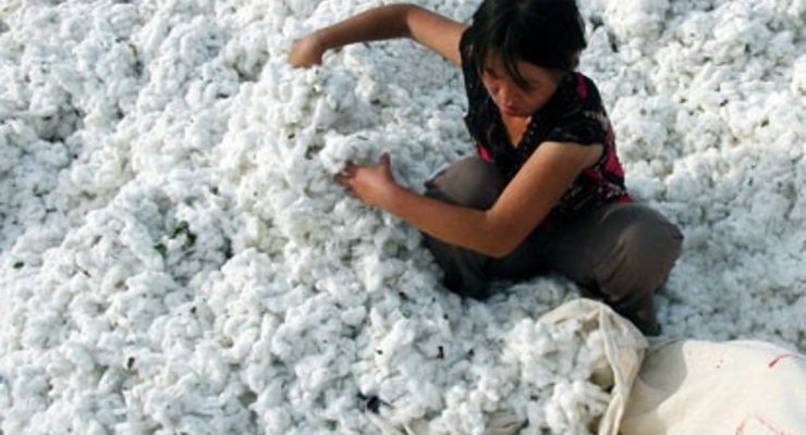 Цены на хлопок побили рекорд 1960 года