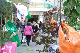 В Калифорнии запретили использовать пластиковые пакеты