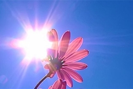 Минувший год был самым теплым за всю историю метеонаблюдений