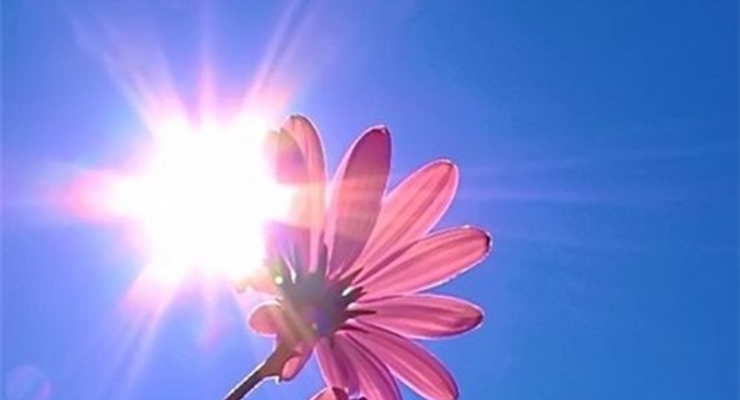 Минувший год был самым теплым за всю историю метеонаблюдений