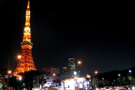 Янукович пообещал поспособствовать открытию прямого авиарейса Киев-Токио-Киев