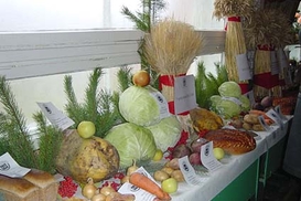 В Украине сократились объемы производства сельхозпродукции