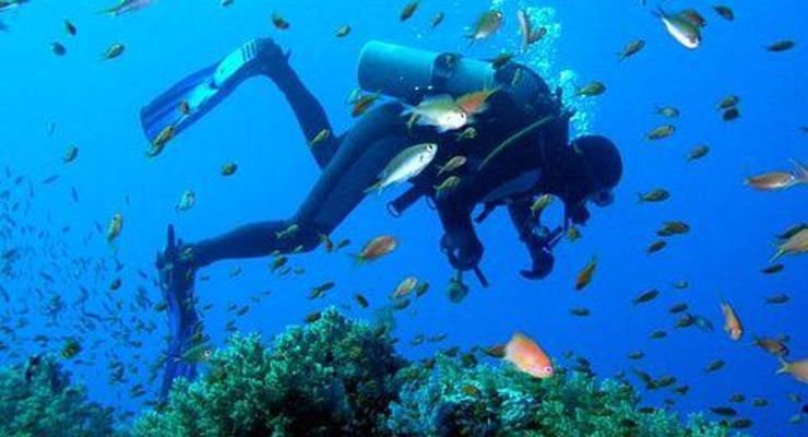 У берегов Шарм-эль-Шейха снова можно нырять