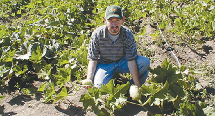 Статус фермера будет получить проще