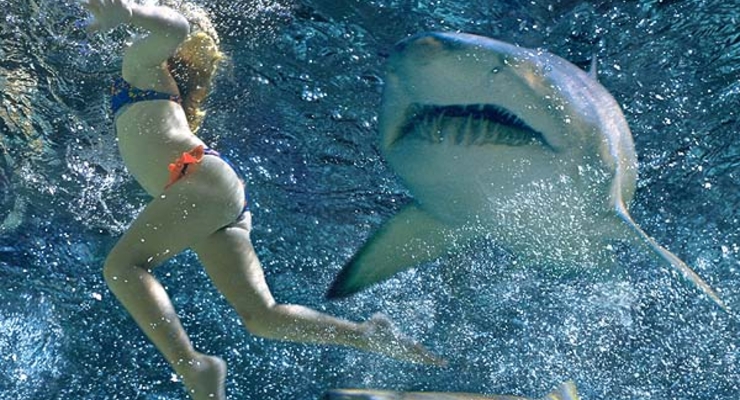 В Шарм-эль-Шейхе снова можно купаться