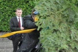 Янукович с венком вошел в тройку самого популярного видео на  YouTube