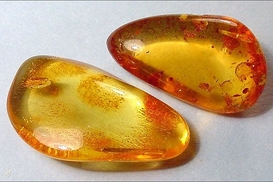 Депутаты отменили закон о янтаре