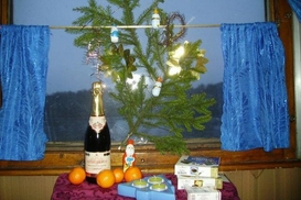 Укрзализныця назначила 37 дополнительных поездов на новогодние праздники