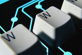 Тигипко: IT-сфера может стать основой украинской экономики