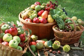 Украинцам не по карману чистые продукты