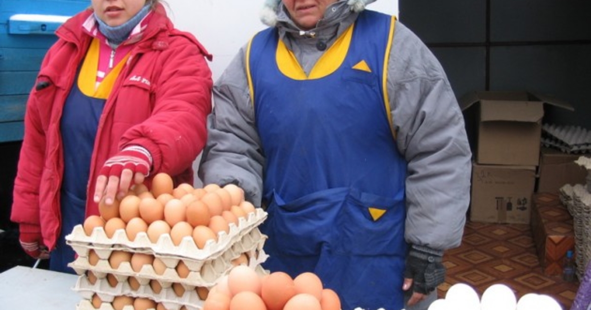 Яйца В Магазине Фото