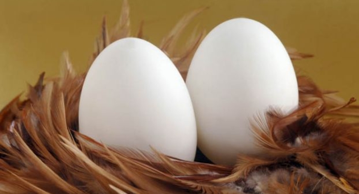 Мальчик занялся предпринимательством в три года