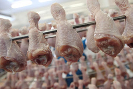 АМКУ сдержит цены на курятину