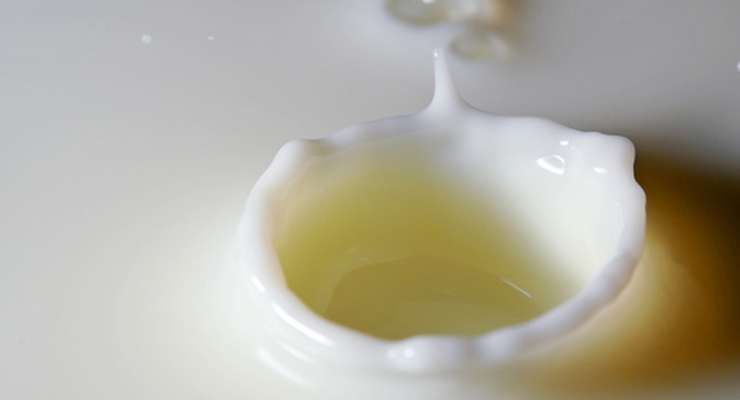 В ноябре молоко подешевеет?