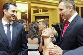 Братья Кличко заработали на аукционе 880 тысяч евро