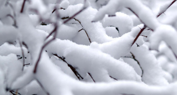 Скоро в Украине выпадет снег