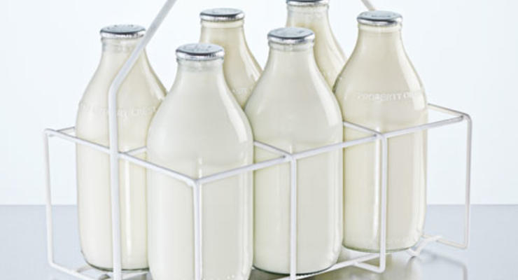 Украина увеличила экспорт молочной продукции на 30%