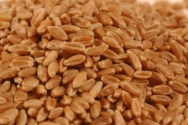 В портах Украины заблокировано 472 тыс. тонн зерна