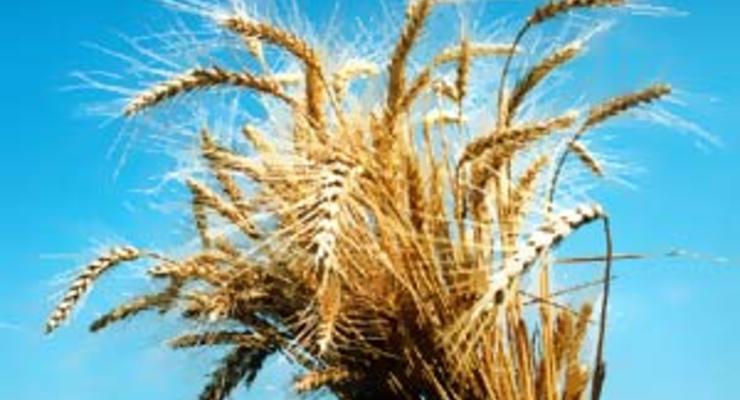 Украина ввела квоты на экспорт зерна